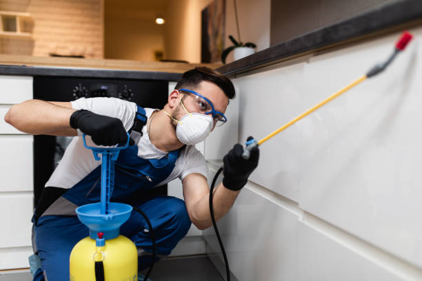 Best Insect Control  in Spotswood, NJ