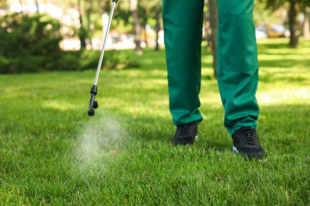 Best Mosquito Control Services  in Spotswood, NJ