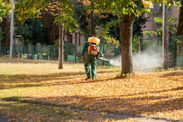 Best Affordable Pest Control Services  in Spotswood, NJ