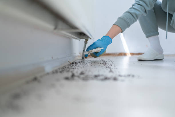 Best Pest Prevention Services  in Spotswood, NJ